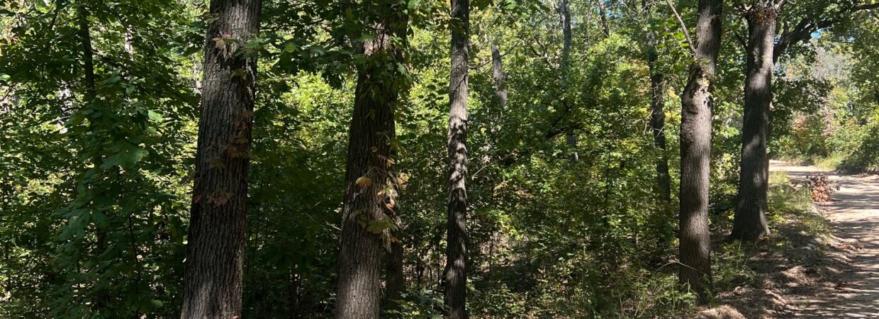 Unrestricted Land!  Live off grid on this private 1.7 acres in Macks Creek MO   $15,000.