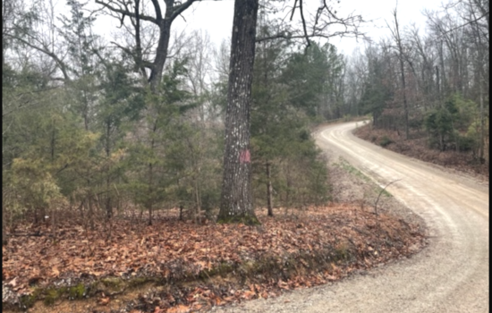  Near Bull Shoals Lake – 2.08 Acres in Mountain Home AR   Unrestricted!